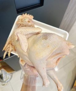 Gà nguyên con hàn quốc